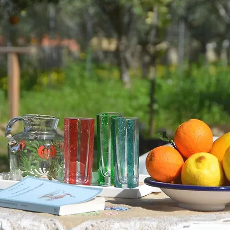 Bed & Breakfast Cascina Degli Ulivi Castelluzzo