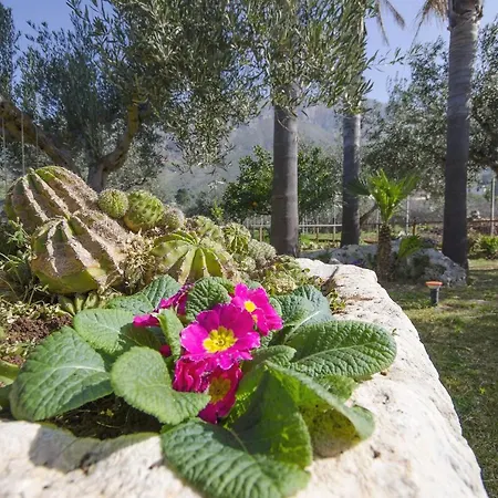 Cascina Degli Ulivi Bed and breakfast