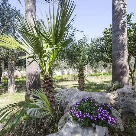 Cascina Degli Ulivi Castelluzzo
