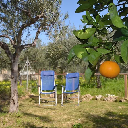 Cascina Degli Ulivi 3*